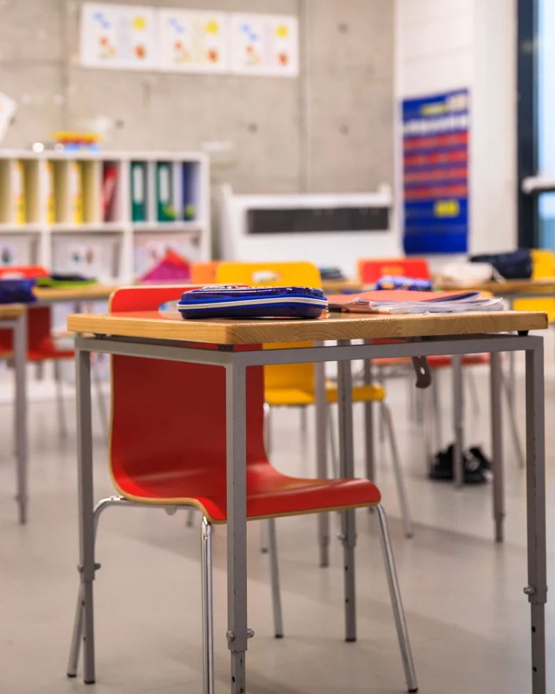 Ana Pravia psicopedagoga- capacidades aprendizaje-altas capacidades